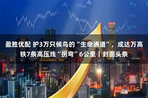 盈胜优配 护3万只候鸟的“生命通道”，成达万高铁7条高压线“拐弯”6公里｜封面头条