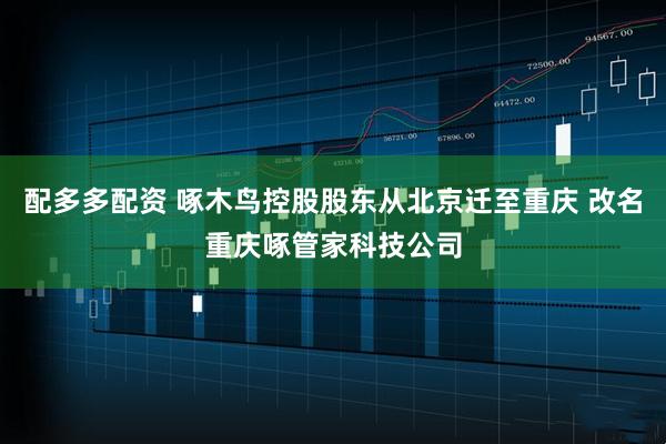配多多配资 啄木鸟控股股东从北京迁至重庆 改名重庆啄管家科技公司