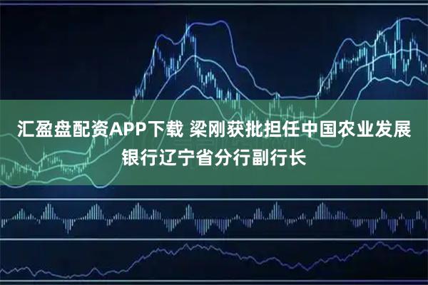 汇盈盘配资APP下载 梁刚获批担任中国农业发展银行辽宁省分行副行长